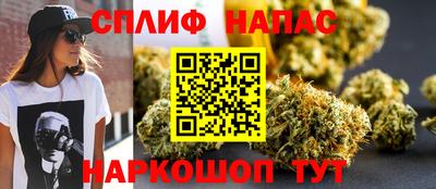 сатива Ливны