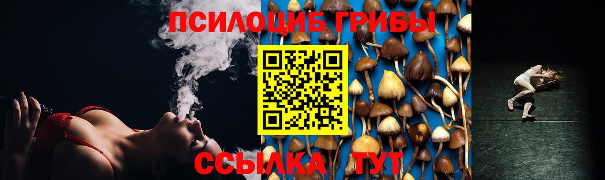 купить  цена  Галлюциногенные грибы Magic Shrooms  Псилоцибиновые грибы ЛСД  Вход с VPN  Морозовск 
